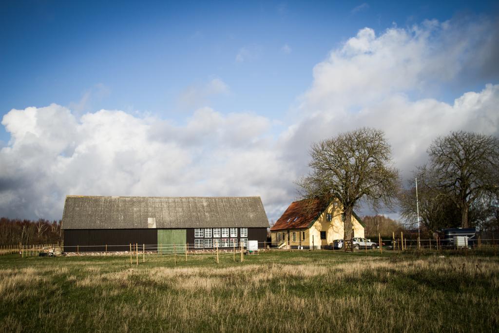 Froeken Hjorts Bed And Breakfast โฮกานาส ภายนอก รูปภาพ